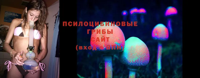 Галлюциногенные грибы Magic Shrooms  Электрогорск 